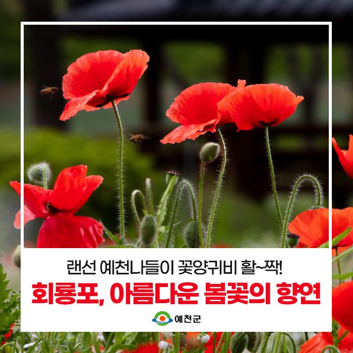 1.예천군 랜선여행